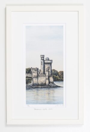 Blackrock Castle