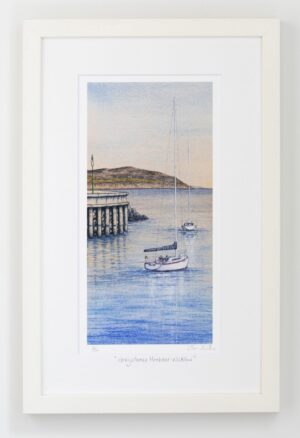 Greystones Harbour
